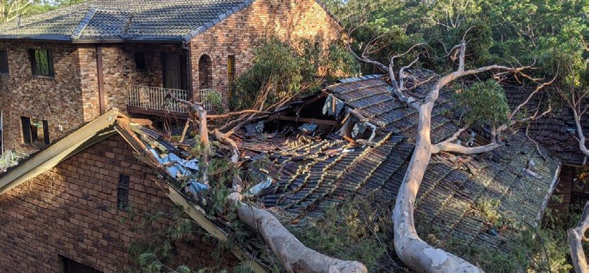 Fallen tree across a tiled roof before reinstatement